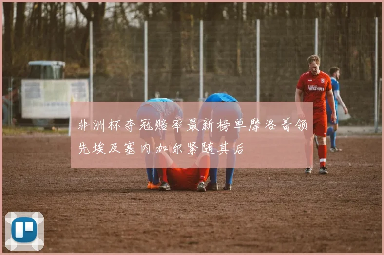 非洲杯夺冠赔率最新榜单摩洛哥领先埃及塞内加尔紧随其后