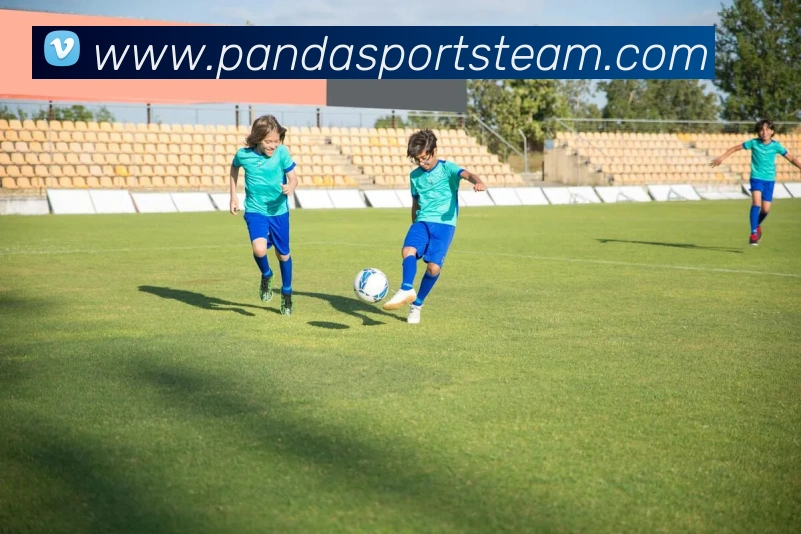 多媒体互动体验