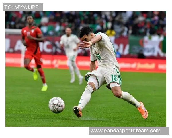 非洲杯决赛冲突引发罢赛非洲足联强烈谴责并启动录像审查